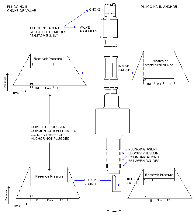 image/FIG5-1.gif
