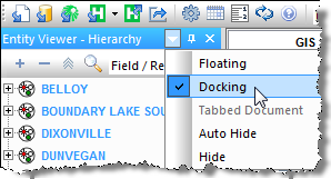 Right-clicking the pane's title bar