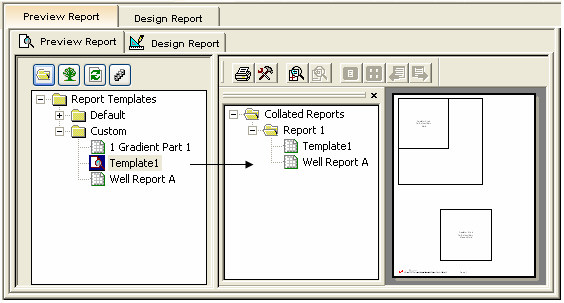Reports Tab